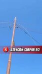 Desde las 7pm de ayer

Un nuevo incidente en el sector "Francisco Mata Díaz" de Los Gonzalo - municipio Tubores, mantiene a los habitantes sin servicio eléctrico. El llamado «URGENTE» a CorpoElec porque se les están dañando los alimentos.

🔉🔉

"Ese es el vídeo de las Guayas del tendido eléctrico que están en el suelo, en el sector Francisco Mata Díaz de Los Gonzalo. Municipio Tubores. Desde anoche a las 7 pm. Se le han echo varios reportes a corpoelec  y nada. Soy Pedro Romero"

@corpoelecinfo 
@corpoelec.nuevaesparta.al.dia 

#islademargarita #alerta #sinelectricidad

 @info5ve