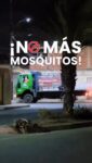 En Maneiro continúan desplegando jornadas de fumigación en distintos sectores del municipio, trabajando para prevenir la proliferación de mosquitos y proteger la salud de nuestra gente.

Estas acciones forman parte del compromiso permanente de mantener espacios más seguros, limpios y saludables para todos los maneirenses.

 @alcaldiamaneiro 
@moreldavidr