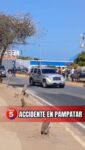 ¡Conciencia por favor!

Afortunadamente no hubo lesionados en una colisión en el retorno del Farmatodo, ubicado diagonal a Los Tavares, protagonizado por un motorizado y el conductor de un vehículo marca Cherry color dorado. 

De acuerdo a versiones preliminares, el motorizado venía desde Pampatar y el vehículo se incorporó al retorno en dirección hacia Sambil Margarita.

Existen dos versiones, el motorizado no freno cuando el vehículo asomó el parachoques ó este último no se detuvo antes de incorporarse a la vía principal.

Protección Civil Maneiro, PoliManeiro y PNB Tránsito atendieron el hecho.

#islademargarita #info5ve #alerta #accidentedetránsito
 @info5ve