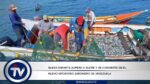 Nueva Esparta supera a Sucre y se convierte en el nuevo epicentro sardinero de Venezuela

En un giro histórico para el sector pesquero nacional, el estado Nueva Esparta ha tomado el liderazgo indiscutible en la captura de sardina. Según informó el viceministro de Pesca y Acuicultura, José Gregorio Briceño, la entidad insular logró superar por primera vez los registros de Sucre, región que históricamente dominaba esta actividad.

El rendimiento de la flota neoespartana ha transformado la estadística productiva del oriente del país. De las 6.000 toneladas extraídas globalmente en la zona nororiental, 3.600 toneladas provienen de aguas de Margarita y Coche. Este volumen representa el 60% del total nacional de la región.

"En solo tres meses de faena, los resultados proyectan que superaremos con creces las 5.000 toneladas alcanzadas durante todo el 2025", destacó Briceño.

Este repunte no es casualidad. El Viceministerio atribuye el crecimiento a dos factores fundamentales:

El cumplimiento estricto de las temporadas de veda ha garantizado una recuperación saludable de la biomasa en el Caribe y la sólida estructura de los pescadores artesanales ha optimizado el esfuerzo de captura.

Para esta temporada, el precio de la tonelada se fijó en 500$, un acuerdo alcanzado a través del Comité de Seguimiento de los Recursos Marinos. Este monto busca un equilibrio estratégico: permitir que el pescador reinvierta en insumos críticos como la reparación de los trenes sardineros, mientras se mantiene a la sardina como la proteína más accesible para la mesa del venezolano.

#15May