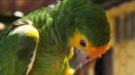 Desde el vuelo del guacamayo hasta el calor de nuestras tradiciones, capturamos el alma de Nueva Esparta en cada rincón. Vivimos tus historias, compartimos tu cultura y celebramos lo que nos hace únicos.

​ ¡Somos Isla TV, la señal que nos une! Somos parte de Margarita y estamos en el corazón de nuestra gente. 🌊🦜

#IslaTV #MargaritaSomosTodos #IdentidadMargariteña #NuevaEsparta #OrgulloInsular