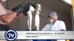 Temporada de pulpo iniciará el 1 de julio en Sucre y Nueva Esparta

El próximo 1 de julio arrancará formalmente la temporada de pesca y comercialización de pulpo, considerada la segunda zafra pesquera más importante de Venezuela. Esta actividad socioeconómica concentrará el grueso de sus operaciones entre las costas de los estados Sucre y Nueva Esparta, y contará con la participación activa de más de 4 mil pescadores artesanales de la región oriental.

#TemporadaDePulpo
#ZafraDelPulpo
#NuevaEsparta
#islatv