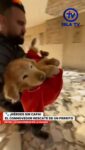 🐾 ¡Héroes sin capa! El conmovedor rescate de un perrito entre los escombros en La Guaira

En los momentos más difíciles, la esperanza también tiene cuatro patas. 🐶❤️

Este emotivo video captura el instante exacto en que los cuerpos de rescate logran poner a salvo a un perrito atrapado tras la tragedia en La Guaira.

 Gracias a la entrega incondicional y la sensibilidad de nuestros funcionarios, hoy este peludito tiene una segunda oportunidad de vivir.

La devastación puede ser grande, pero la compasión de nuestra gente lo es aún más. ¡Porque en Venezuela, toda vida cuenta! 🇻🇪✨

#LaGuaira #RescateAnimal #Héroes #TodaVidaCuenta #AmorPerruno Venezuela Solidaridad