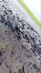 Rayo afecta la pista del Aeropuerto de Ciudad Guayana

Las fuertes precipitaciones continúan generando contingencias en el territorio nacional. Durante la tarde de este lunes, una intensa tormenta en las regiones oriente y sur de Venezuela provocó un severo incidente en la infraestructura aérea local.

#29Jun